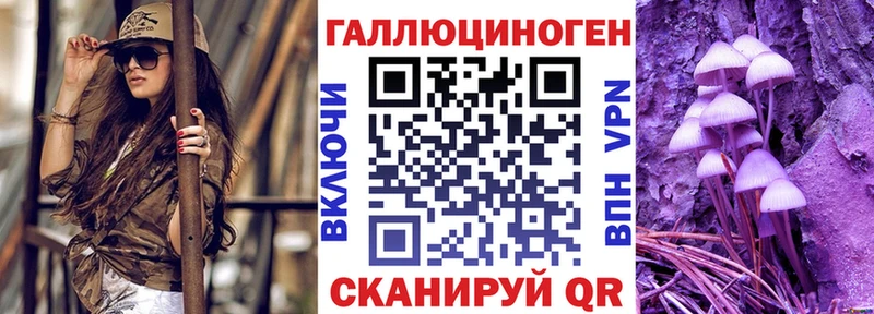 Купить где  Талица  Псилоцибиновые грибы мицелий 